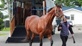 ロジャーバローズがアロースタッドに帰厩 25年まで同牧場で種牡馬生活送る予定