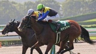 中山芝は内＆前有利 ママコチャ＆川田騎手が軸だ