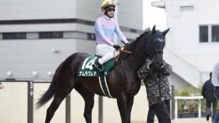 【AI予想・スプリンターズS】近年内枠、先行勢優勢も今年は展開面が鍵!? 本命は悲願のGI制覇に燃える実力馬