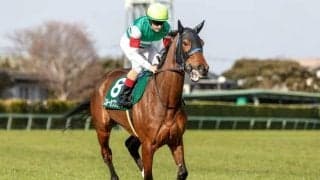 【凱旋門賞】スルーセブンシーズが最終調整 尾関師「順調にここまで来ております」 