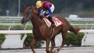 【高知・潮菊特別】牝馬ウオタカが断然人気に応える…吉原「これからが楽しみ」