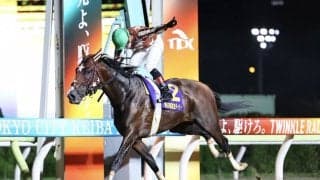 【ダービーグランプリ】無敗の三冠馬、ミックファイアが始動…7枠7番大外へ