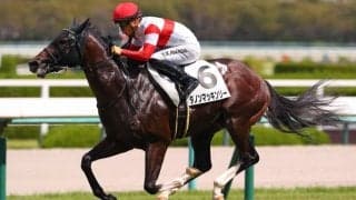 【新馬/阪神4R】2億円ホース、ダノンマッキンリーがデビュー戦を完勝