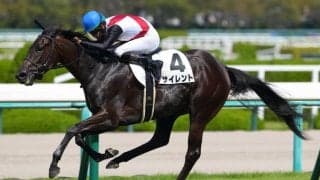 【新馬/阪神5R】エピファネイア産駒 サイレントが逃げ切る…超良血グラヴィスは2着敗退