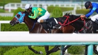 【ヤマボウシ賞】サトノフェニックスがデビュー2連勝