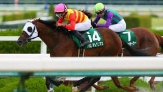 【シリウスS】トップハンデ、ハギノアレグリアスが抜け出す…四位調教師はJRA重賞初制覇