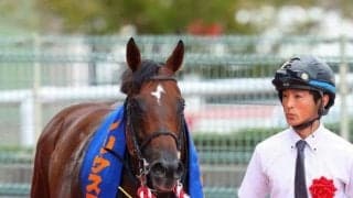 【シリウスS】岩田望「内か外か迷った」ハギノアレグリアスが重賞2勝目