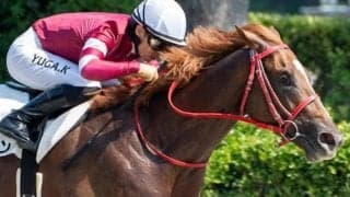 前走は負けて強し 日曜中山9Rでティルドーンが今度こそ決める