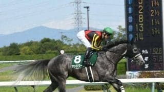 【スプリンターズS予想】秋の電撃6ハロンGI スピードだけでなく底力も求められる一戦