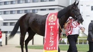 【スプリンターズS】3連系には9番人気以降の人気薄必須？ 狙える枠と、沈む1番人気馬のパターンとは？