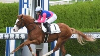 【阪神3R新馬戦結果】エスポワールシチー産駒のメイショウホウレンが5馬身差逃げ切りV！