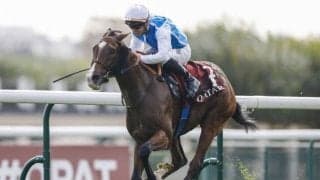 ダイワメジャー産駒が3000m重賞制す 凱旋門賞の前日に日本血統が躍動/仏G2・ショードネイ賞