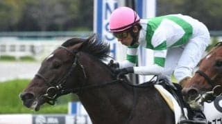 【阪神5R新馬戦結果】アルアイン産駒のカズゴルティスが逃げ切りV!