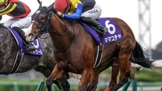 【スプリンターズS結果】ママコチャが接戦制しGI初制覇！