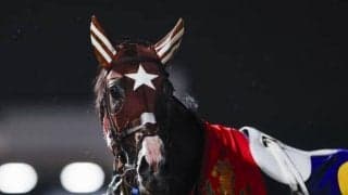 【盛岡・ダービーグランプリ結果】南関東3冠馬ミックファイアが無傷7連勝！ ベルピットとの三冠馬対決制す