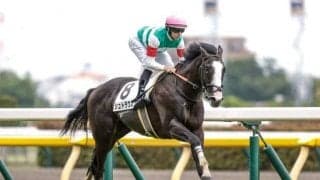 【サウジアラビアRC】シュトラウス、ボンドガールらが登録