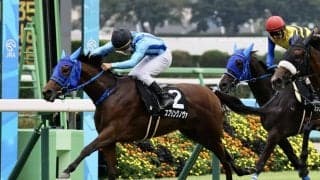 【サフラン賞】カリフォルニアクローム産駒 スプリングノヴァがデビュー2連勝