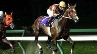 【ダービーグランプリ】無敗の三冠馬ミックファイアが苦しみながらも秋初戦をV…無傷の7連勝