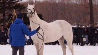 クロフネ産駒が19年連続でJRA重賞制覇 パーソロンと並んで歴代1位タイ