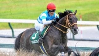 11歳セン馬が4年半ぶりの勝利 JRAの平地競走最高齢勝利記録を更新