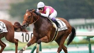 【新馬/中山3R】武豊騎乗、ジューンブレアが人気に応える