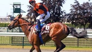 【凱旋門賞結果】6戦無敗でエースインパクトが優勝！日本のスルーセブンシーズは4着