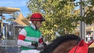 【凱旋門賞】ルメール「ハイレベルでいいパフォーマンスでした」スルーセブンシーズは一瞬夢を見た4着