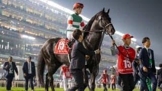 【京都大賞典登録馬】ヴェラアズールなど15頭