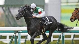 【京都大賞典見どころ】昨年のJC覇者ヴェラアズールが連覇を狙う