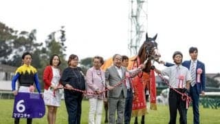 【スプリンターズS】売上は154億1129万9800円で昨年より約4億円増加