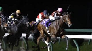 【レディスプレリュード枠順】JpnI馬ヴァレーデラルナは8枠10番、重賞8勝馬スピーディキックは3枠3番