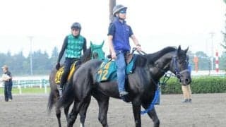 ユーバーレーベンの半弟マイネルレグルス 「お姉ちゃんに似た感じも」/関東馬メイクデビュー情報