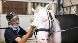 “電撃引退”のソダシ 白毛のアイドルが残した功績と繁殖牝馬としての可能性