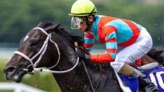 獲得賞金6億6000万円超の古豪ディープボンド 得意京都でJRA重賞4勝目へ