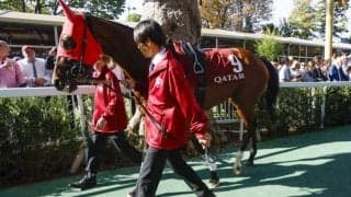 スルーセブンシーズの凱旋門賞挑戦を血統面から振り返る