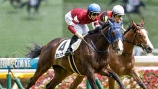 【サウジアラビアRC展望】2歳の出世レース、近年は前有利の傾向