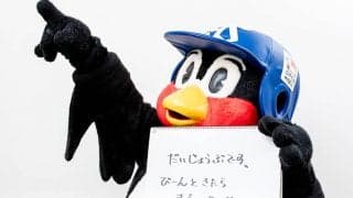 つば九郎の人生相談「婚活パーティーで自分に合う人を見つけるには？」