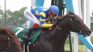 【東京盃】ドンフランキーは8枠12番へ