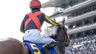 【秋華賞出走馬決定順】1500万円組で2/5抽選に フルゲート18頭に23頭が登録 