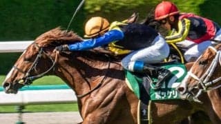 ママコチャに続け！ 池江厩舎×金子真人オーナーの古豪が京都大賞典参戦