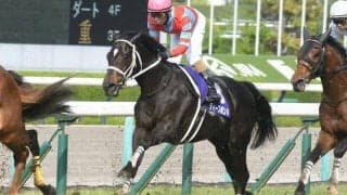 【京都大賞典予想オッズ】ディープボンドが予想1番人気