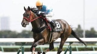 「19歳馬の出走」や「12歳で重賞制覇」 日本競馬の“最高齢記録”