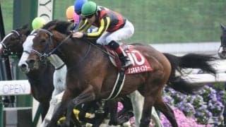 【毎日王冠展望】高速決着になりやすくマイラータイプが台頭するレース