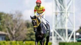 デビュー30年目の岩部騎手重賞初制覇なるか 新馬逃げ切りのマリンバンカーで参戦