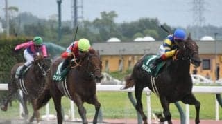 JBCスプリントに向け実力拮抗の好メンバーが集結/大井・東京盃注目馬