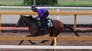 フレミングフープなど、先週の入厩情報/栗東トレセンニュース