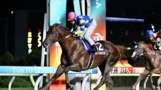 【東京盃】断然人気ドンフランキーが逃げ切りで重賞2勝目