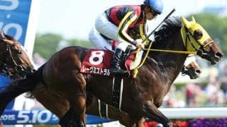 レーヴミストラルが11歳で死す 15年青葉賞など重賞2勝