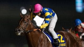 【東京盃】ドンフランキー、右回りダ1200mのTCKコースレコードをマーク