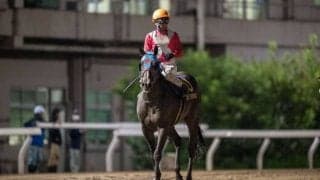 【東京盃】武豊「忙しかった」ヘリオスは6着敗退